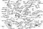 Clip 1*100 — 94591-LGR5-E10 — KYMCO exploded-view diagram