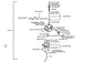 Clip B8 Tube — 95002-02080 — KYMCO exploded-view diagram